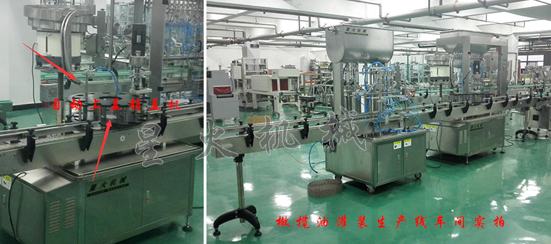 全自動橄欖油灌裝生產線-橄欖油自動灌裝鎖蓋貼標生產線